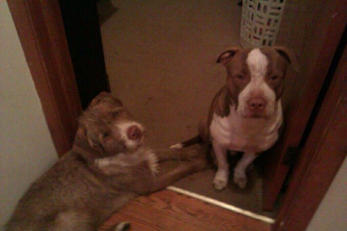 My Babies Miss Me :( http://t.co/Fcf0qssmHY