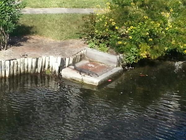 Lori Stanton tweet media