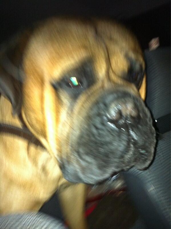 On my way with nique to <a href="/ClubElSombrero/">Club El Sombrero</a>  CLASSIX. ! Onze persoonlijke beveiliging op de achterbank :)