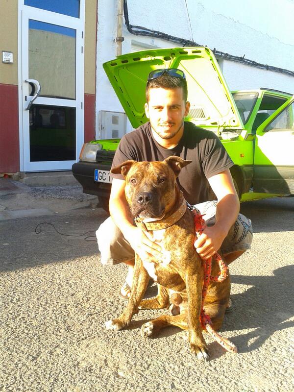 Dave ruiz (@davedurante) on Twitter photo 