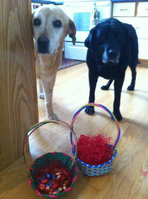 campponacka's tweet photo. #PonackaPete and #CPCleo happy after a great Easter weekend! Watch out for another monday MT tmr! http://t.co/WeEvcEqkFq