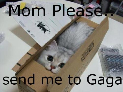 scheiberam's tweet photo. please...please!!!!!! http://t.co/cKzbiLSLuD