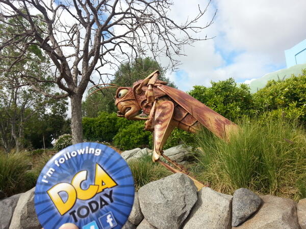 Teng0ku's tweet photo. @DCAToday #hoppyhunt http://t.co/YJPwsKDmwi