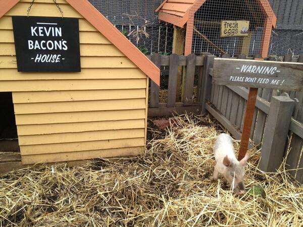 AmandaKhoury4's tweet photo. Met Kevin Bacon this morning http://t.co/HOOnVhQouw