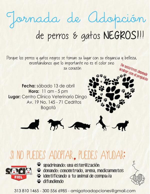 NoSoyEseGabo's tweet photo. Bueno, todos a apoyar la "Jornada de Adopción de perros y gatos negros" el sábado 13 de abril...please RT http://t.co/Dz7cXSHXVH