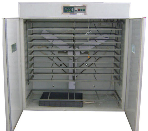 eggsincubator's tweet image. 