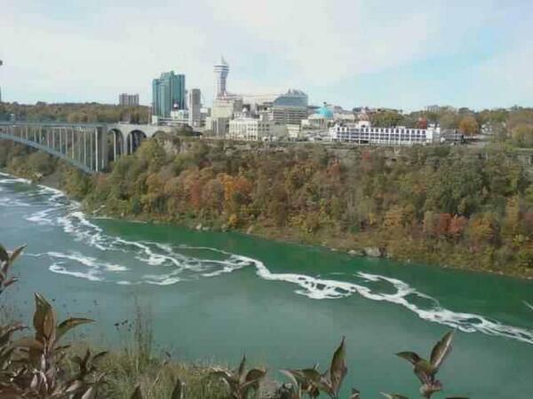 lisa manson tweet media