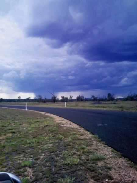 lisa manson tweet media