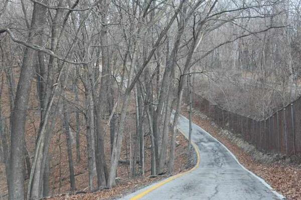 lisa manson tweet media