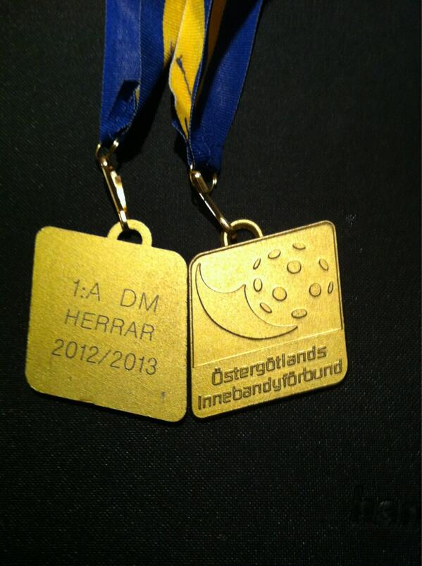 #innebandy #så ser den ut