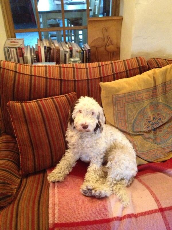 Taking up prime position on the sofa to watch man united v Chelsea