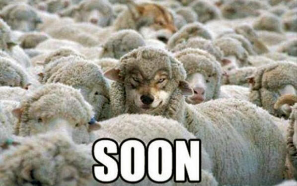 roissy0's tweet photo. Watching right now. Love this pic. RT @77Flipped #HemlockGrove in 18 Days (April 19) @netflix http://t.co/6pFAPmBLE0