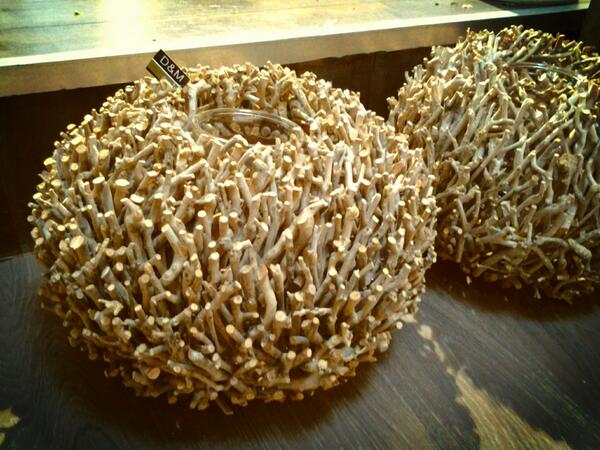 ValentionF's tweet image. Trots op wat we hebben!!  @Woontweets @Woontweets