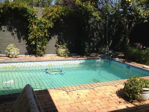 LeighAnnMol's tweet photo. Memorial service over. Covered and laid to rest. #ByeByePool #Aquanasia (credits @TheAndrewForty) http://t.co/9nsLaofInD