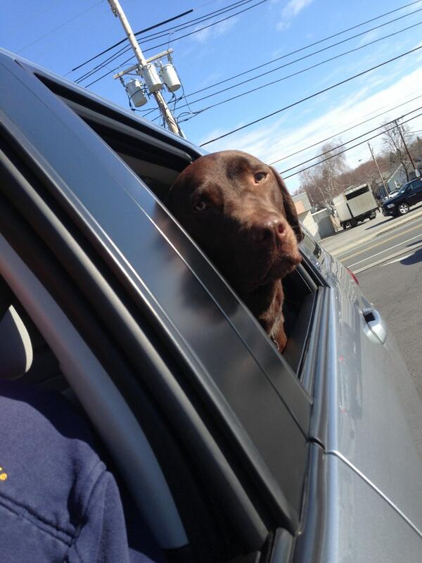 At Dunkin with Butch