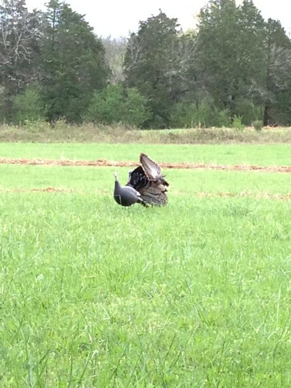HuntSource's tweet photo. “@hntr78: @HuntSource Way to go G! Can't wait to hear all about it!” Here's a pre-smackdown pose... http://t.co/a4o07412yP