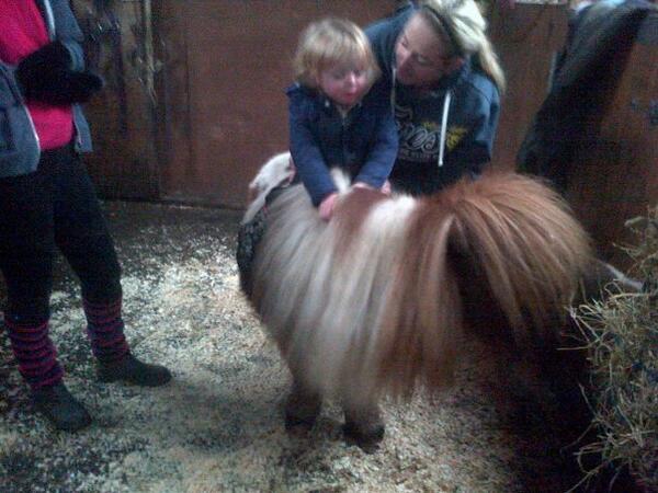 SidsBarn Pony rescue tweet media