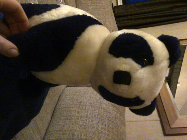 irishstar83's tweet image. Well that's all my pennies spent tonight and what I got to show for it! Tat that's what lol! #pandagopanda