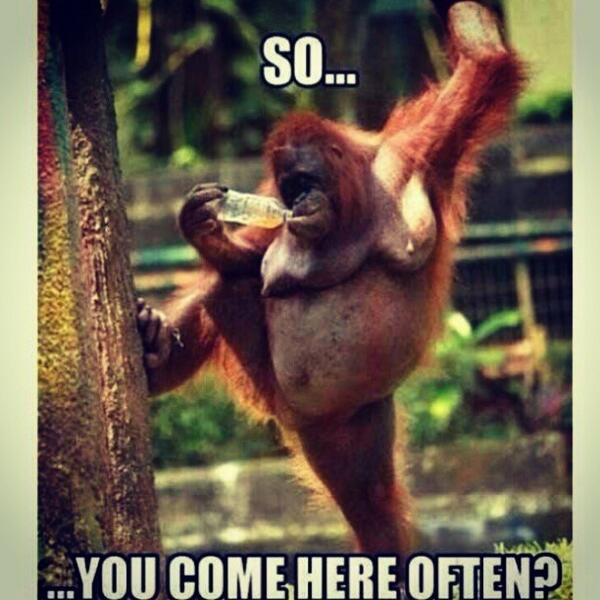 thealias_'s tweet image. 