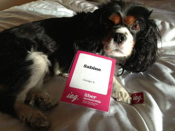 ShanRiggs's tweet photo. Sabine is ready for the ieg conference and our group run tomorrow! #ieg2013 http://t.co/MKQQblclql