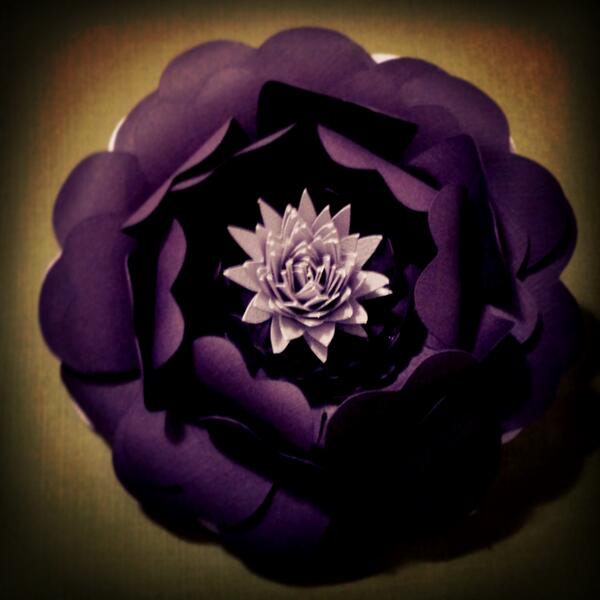 BouquetCreation's tweet photo. #new #flowers #wedding #bouquet http://t.co/B7ohn6wGuM