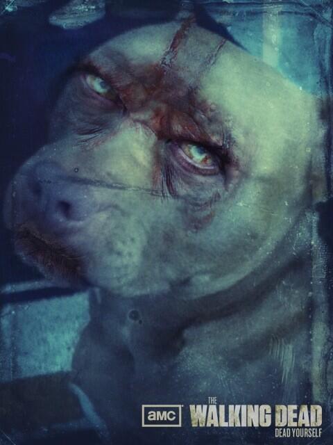 TheNerdBoxStore's tweet photo. @WalkingDead_AMC My zombie dog!!! #DeadYourself http://t.co/4LCOPrJ9QU
