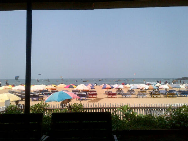 rajeevdwived's tweet image. 