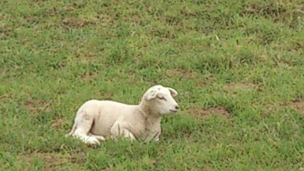 Rondje dijk!  Heerlijk!
