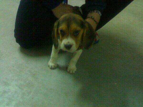 joniyek's tweet photo. Animo nogi tu puedes http://t.co/ol0N4HmxqR