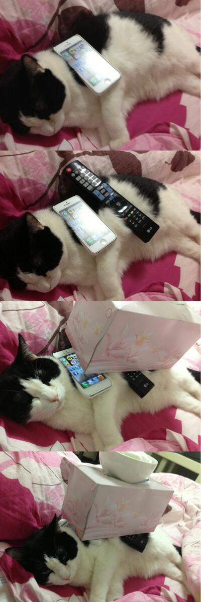 kkambonim's tweet photo. 이집에선 너만 편해. 배아파! 너도 삶의 무게를 같이 느껴보자 http://t.co/05Ekzx3e2n
