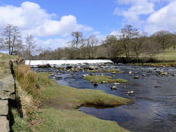 Angela Clarke tweet media