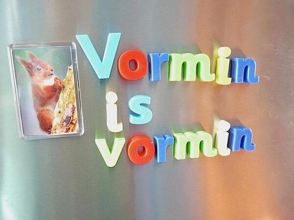 Red Squirrel tweet media