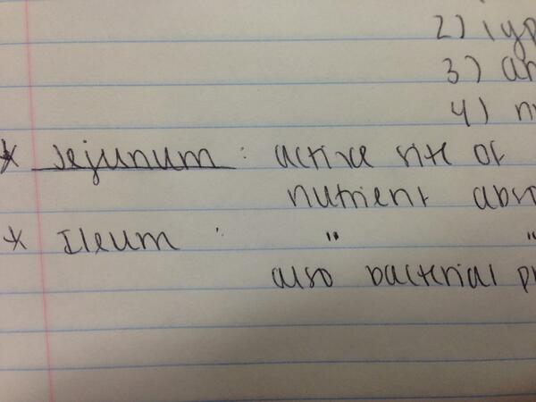 TaylorThomson_'s tweet image. Have you ever been punched in the jejunum? #Bio102 @TristanThomson_