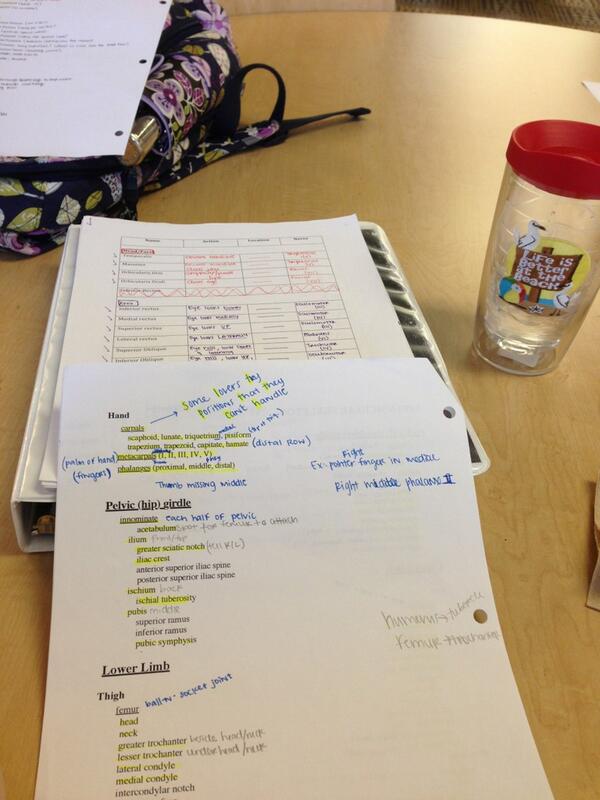 cabyard's tweet image. last lab practical... ugh #studying #labpractical #nursingprobs #lifeisbetteratthebeach