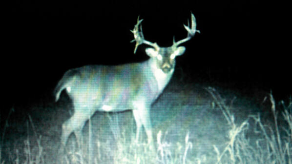 DailyGamePics.com tweet media