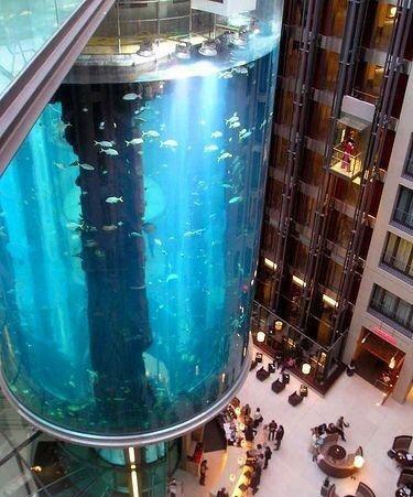 _Weird__facts's tweet photo. أكبر حوض أسماك في العالم http://t.co/qHwj8swQ8X