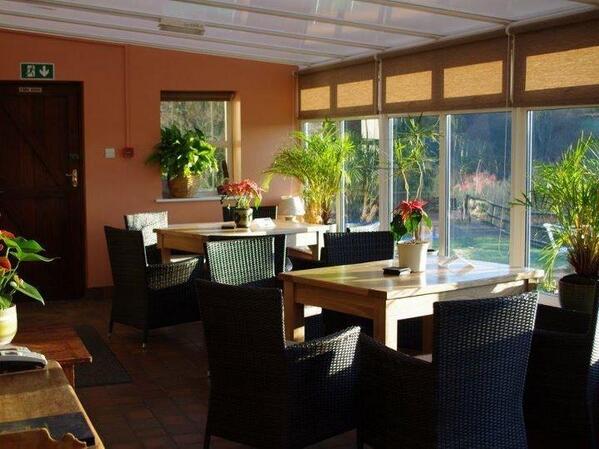 Llanerchindda Farm tweet media