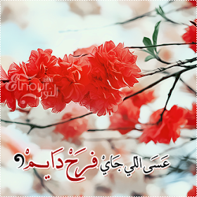 11Monah's tweet photo. http://t.co/uIhzxxgdTZ