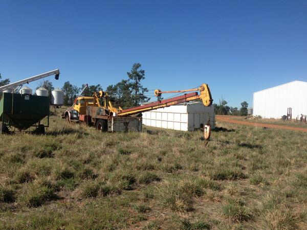MikeStocky's tweet photo. @dburden15 here is crane you can practise on gill.
#atnocharge
#yourwelcome http://t.co/PVSgTIR2ig