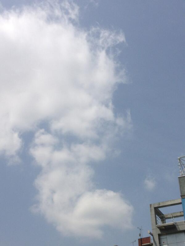 risa61risa's tweet photo. おそようございます(*′ェ`*)ゞ http://t.co/1GUYHc7QjG