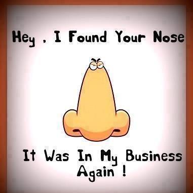 Trevina Shearer tweet media