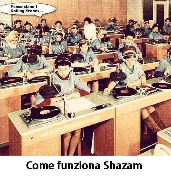 segmenti tweet picture