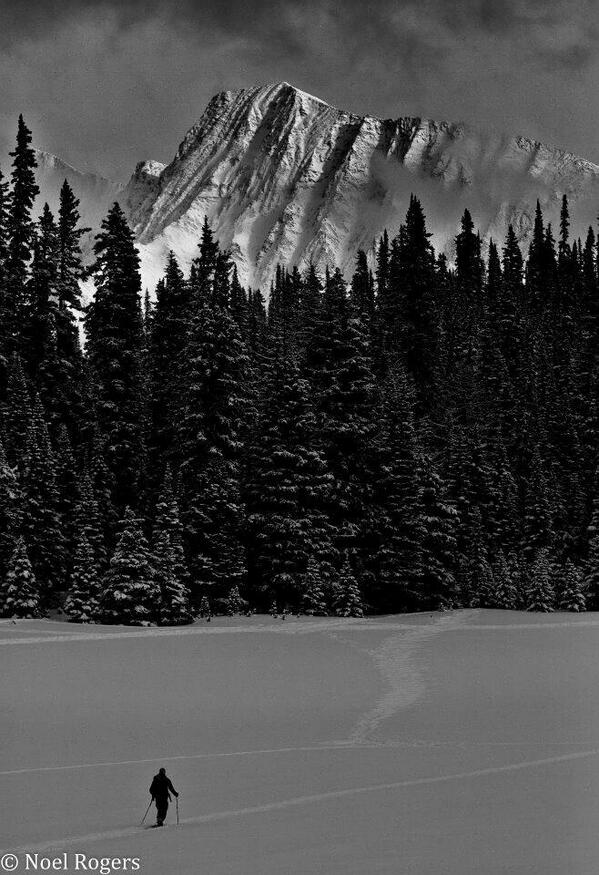 Good morning! Ski touring in Kananaskis Country earlier this year