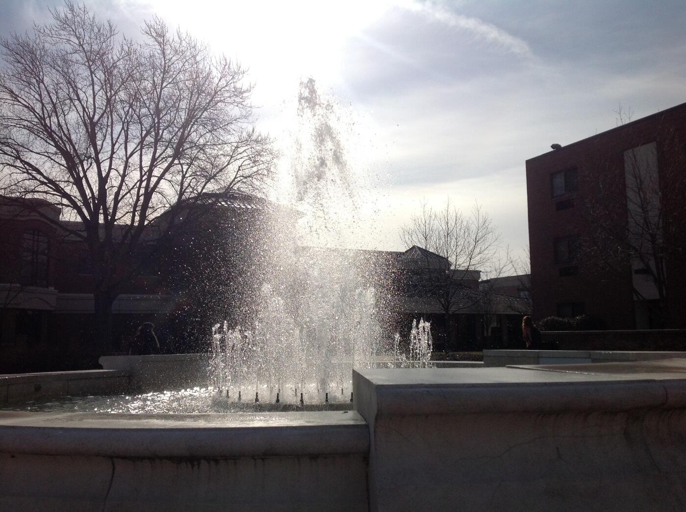 Twitter / iwusojourn: The surest sign of spring at ...