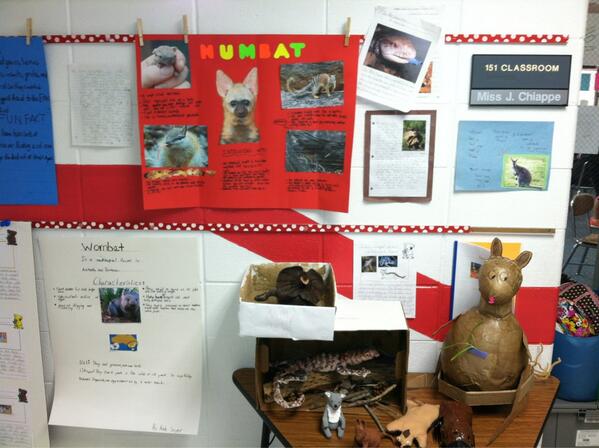 JenChiappe's tweet photo. I am so proud of my talented and creative second graders for working so hard on their Australian Animals projects! http://t.co/qVvbRbu3Vt