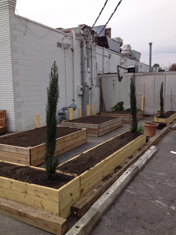 EricCutillo's tweet photo. Planted Italian cypress and an apple tree in the @KymaRestaurant garden. What's next? #sustainability #GardenToTable http://t.co/UjEwHqpfuN