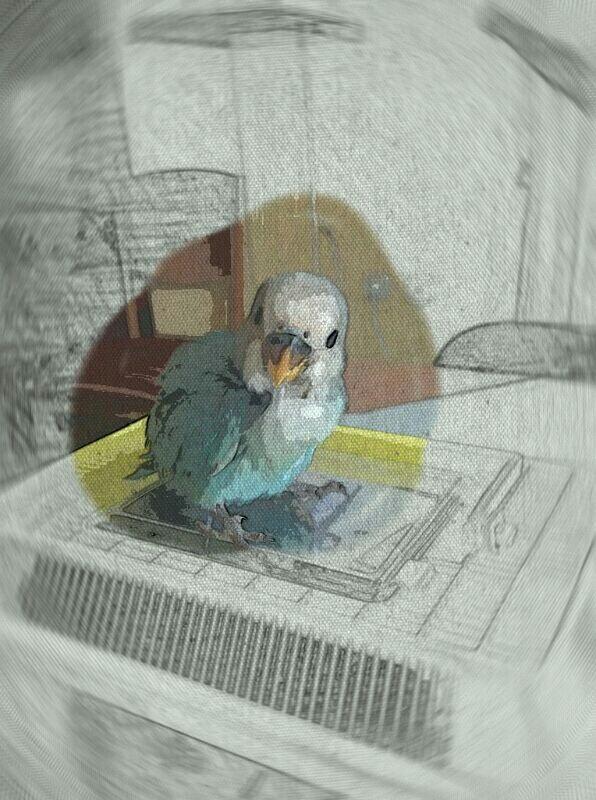 Ollin_sin_H's tweet photo. Buenos diass¡ @gelu_r2 http://t.co/ONYz9k3ejh