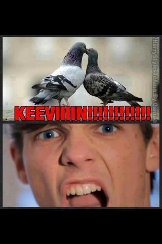 OneDirectionHED's tweet image. KEEEVIIINNN!!!!