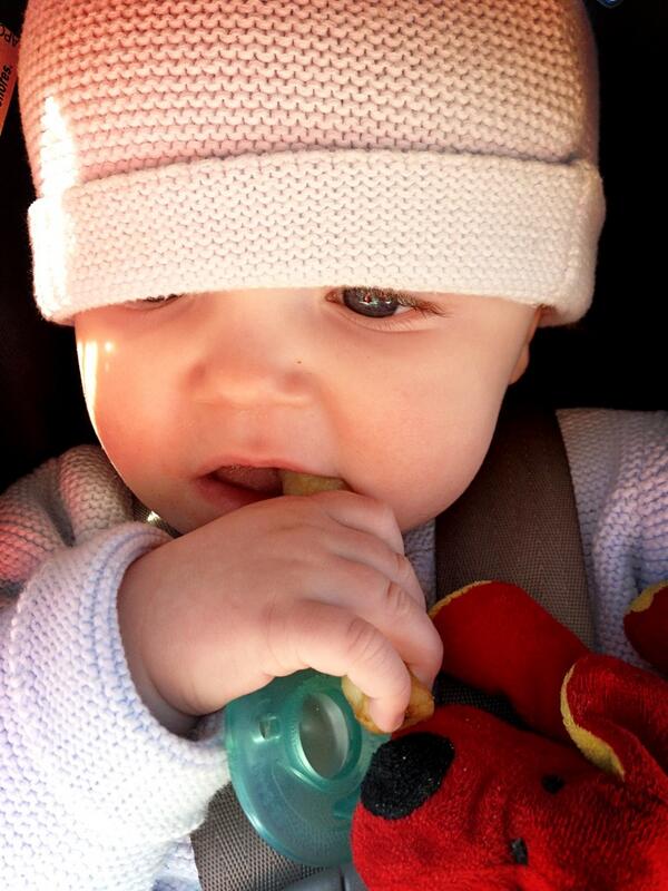 KatelynMelia's tweet image. @NicholaKilbride Oisín LOVES Sullys😳😃😎🍔🍟☀ #firstfry