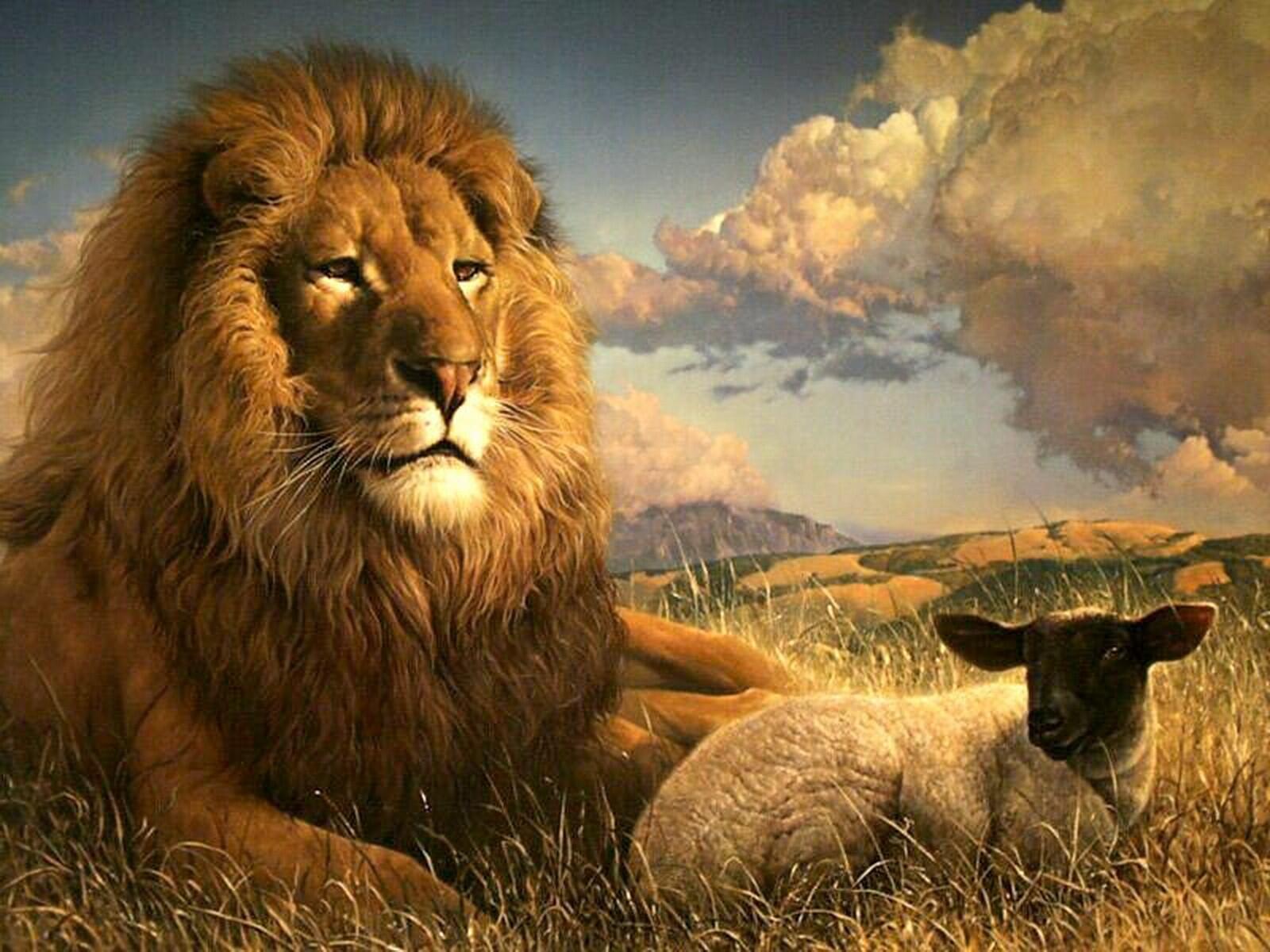 AKTVinc sur Twitter : "'an army of sheep a lion would defeat an army of lions led by sheep.' http://t.co/fnGx35BWYU" / Twitter